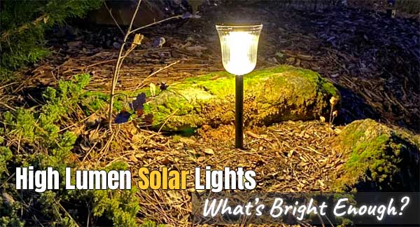 Extra Bright Solar Pathway Lights with High Lumen for Walkways, Driveways and Landscape
