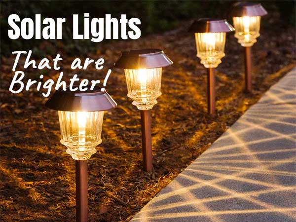 Brighter Solar Path Lights that Last up to 8 Hours