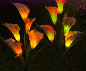 Multi Color Changing Calla Lily Solar Lights