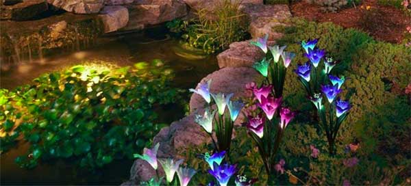 Lily Solar Lights in Landscaping Next to Backyard Pond