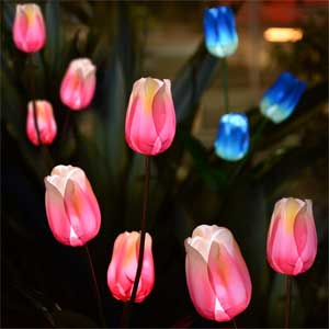 Pink Tulips - Solar Lights on Stakes