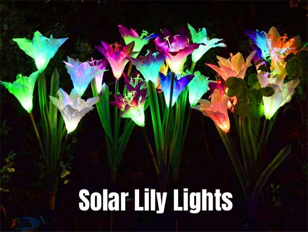 Solar Lily Lights for Illuminating Pathways and Landscape