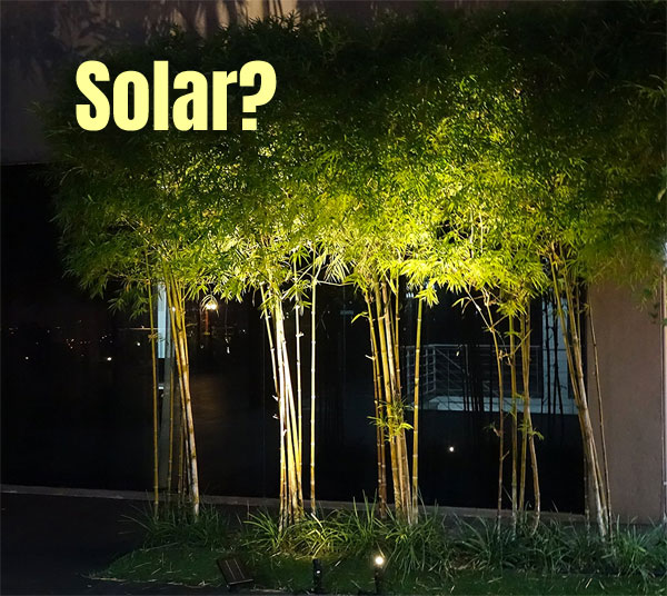 Solar Spot Lights for Trees