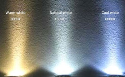 Warm White VS White LED