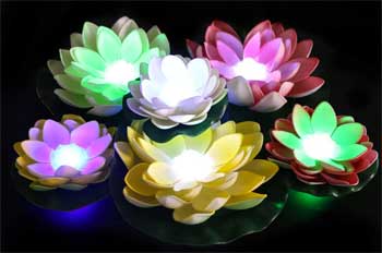 Water Lily Solar Lights that Float on Top of Your Swimming Pool or Backyard Pond and Illuminate at Night